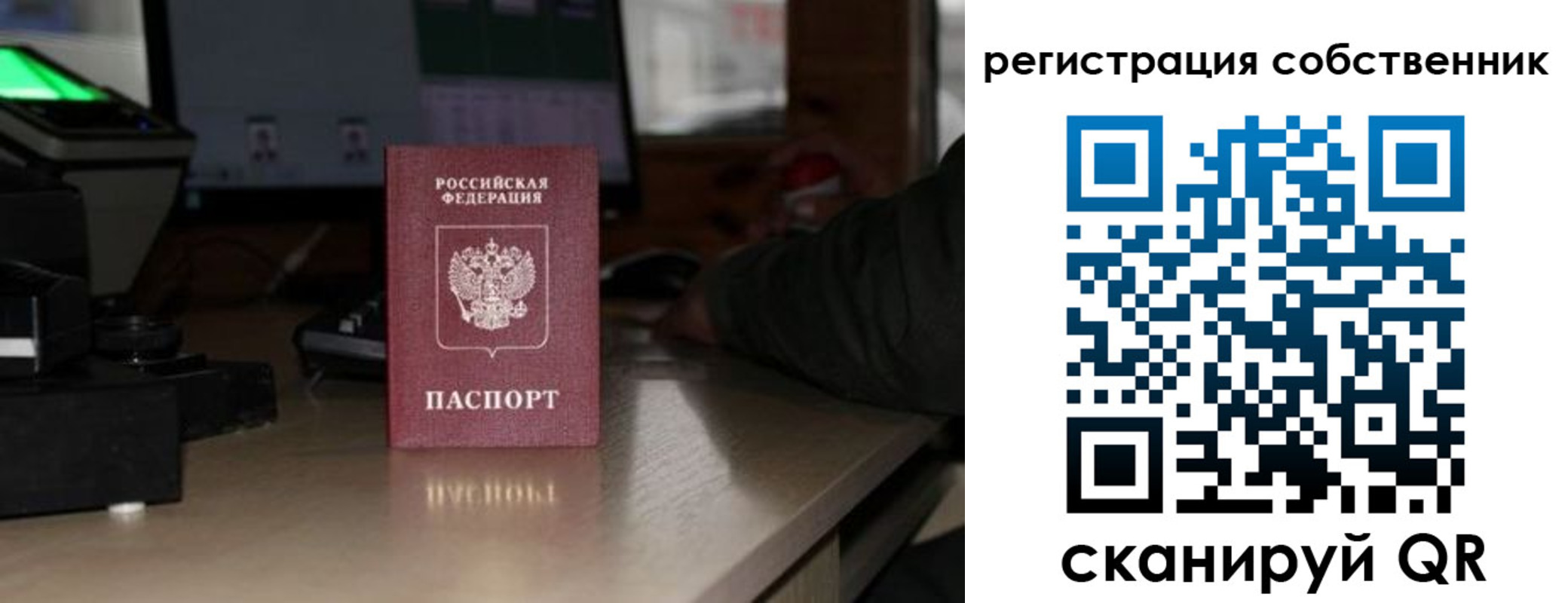 прописка поиск в Дальнегорске